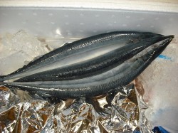 dscf05002