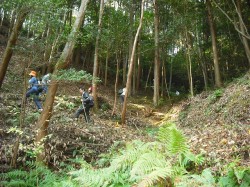 dscf02492