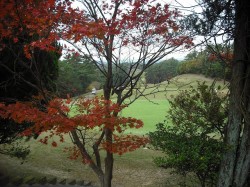 dscf0334