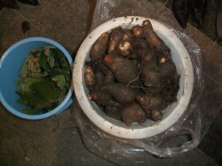 dscf1092