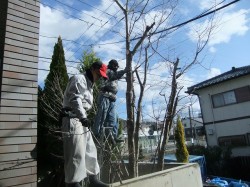 dscf1136 dscf1136