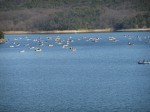 s-dscf12091