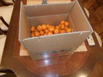 dscf1327