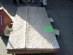 dsc00132
