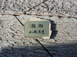 dsc001402