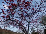 dscf1464