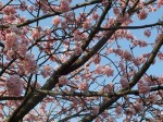 dscf1477