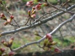 dscf1485