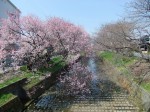 dscf1488